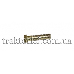 Болт-штуцер обраткі (М10х1, L=36mm, 2 отв.)