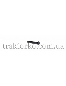 Закльопка залізна